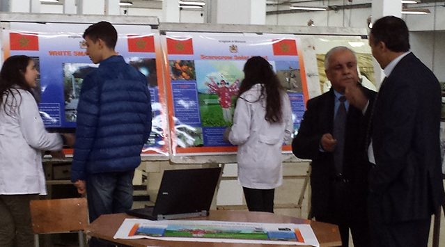 Participation in the 6th Edition of Tangier Science Festival , 23 to 27 December 2013